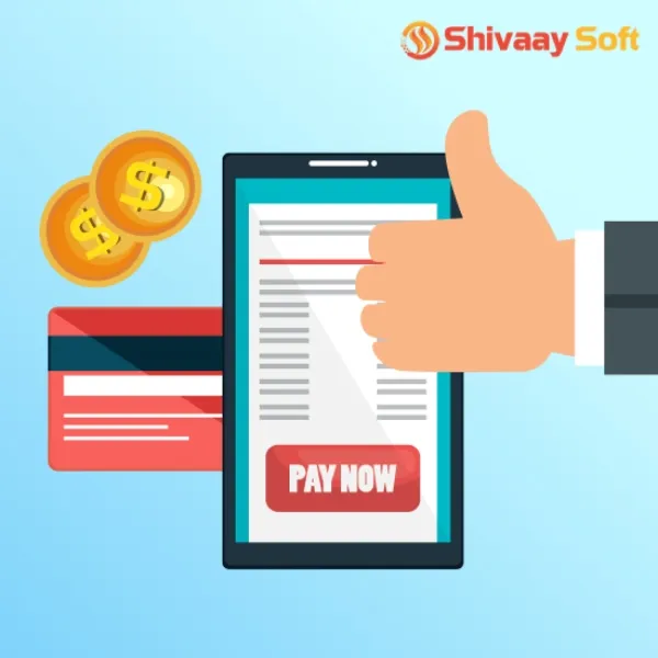 Picture of Pay Now Payment Plugin